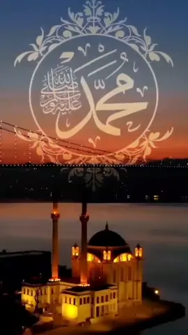 #المولد_النبوي_الشريف_صلوا_على_النبي💙 #كل_عام_وانتم_بخير #حالات_واتس_اب #دينية❤️ #fyp #حركةالاكسبلور🥰