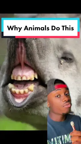 Just like his girlfriends, R Kelly slander will never get old #nature#LearnOnTikTok#themoreyouknow