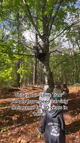 #lovetree #Love #relationshipgoals #fyp #foryou #MakeItCinematic #lovehim #michigan  #northernmichigan