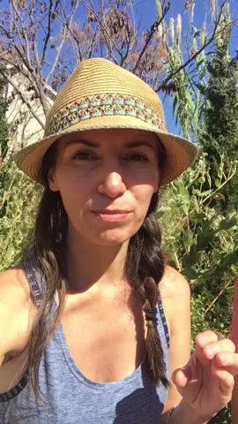 #clasesdeingles #inglesonlinegratis #inglesonline #inglespratico #inglescontiktok #inglesespañol😂😂 #inglesdificil