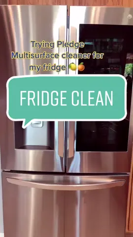 Pledge for the win 🍋🍊#TargetHalloween #LG #pledge #fridge #CleanTok #foryou