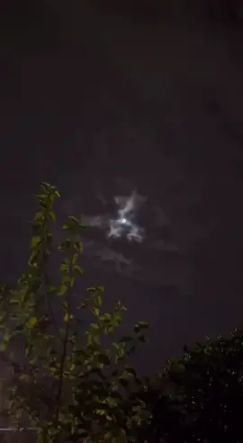 في مغيبگ ليله بالفين ليله_☹️🚶‍♀️#اكسبلورexplore