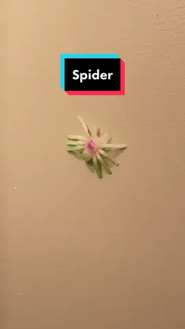 When You Have Arachnophobia