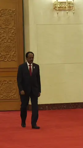 Madaxwaynaha JFS Maxamed Cabdullaahi Farmaajo #nabadiyonolal2017 #madaxwayne_farmaajo #dowladnimo #somalitiktok12