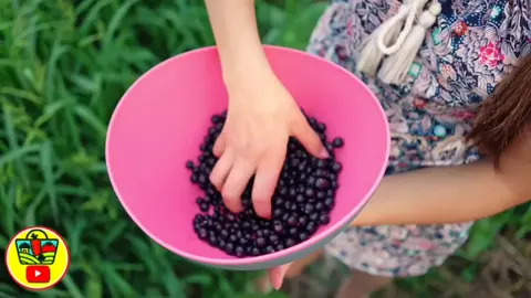 Внесите Осенью Под Смородину 2 Ложки! Урожай Во!#смородина#чернаясмородина#смородинаосенью#ягоды#ягода