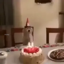 #حساب  #رياكشنات  #اكسبلور  #السعودية #عمان #عيدميلاد  #fyp  #art  #tiktok #هههههههههههههههههههههههههههههههههههههه