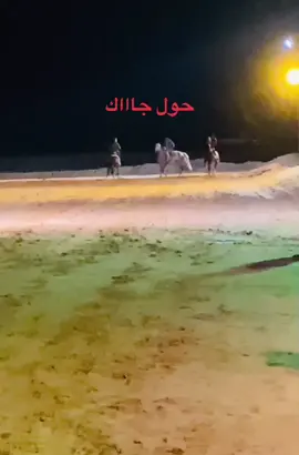 #قصر_بن_غشير #ليبيا_طرابلس #زلطن_الجميل_زواره_رقدالين_ #قماطه_العلوص #جنزرو #مصرته #الزويه_العنقاء #صبرته❤️ #غريان_