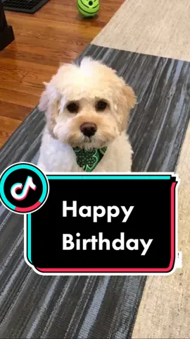 Happy 1sr Birthday Remy!!#MakeADogsDay #myfinALLYmoment