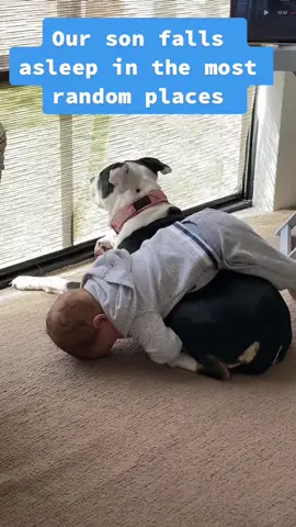 He didn’t make it back to the charging station on time (credit: @Baby TikToker) #fy #cute #baby #dog