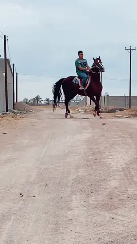 #مصراته_الصمود #اللهم_صل_على_محمد_وآل_محمد #اللهم_لك_الحمد_ولك_الشكر #ليبيا_طرابلس_مصر_تونس_المغرب_الخليج #ليبي #رعد