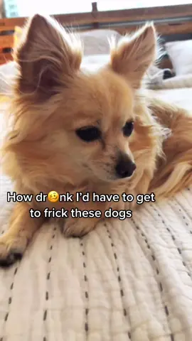 #MakeADogsDay #realness #thisisdumb #ratingcrushes #dogsoftiktokviral