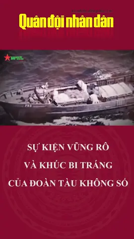 Sự kiện #vungro và khúc bi tráng của Đoàn #taukhongso #tiktoknews #onhaxemtin #xuhuong