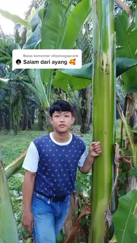 Balas @vitosinagaprank salam bang darii binjaiiii, #fyp #parispernandes #medan #binjai #mma #salamdaribinjai #viral #fypindonesia #fyoupage