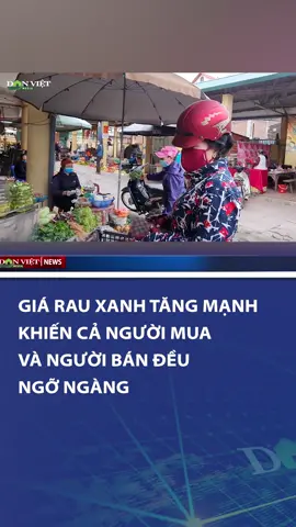 Giá rau xanh tăng mạnh khiến cả người mua và người bán đều ngỡ ngàng #danviet #theanh28 #tiktoknews #thoisu #giarauxanh #chodansinh #giaca #nguoidan