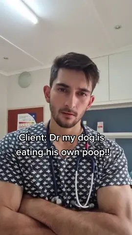 Why is my dog eating his own poop!? #vetadvice #vetsoftiktok  #learning #teach  #dog #cat