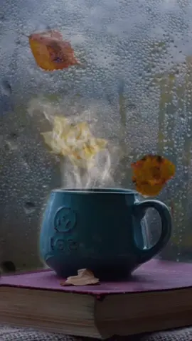 #фразы#мысли