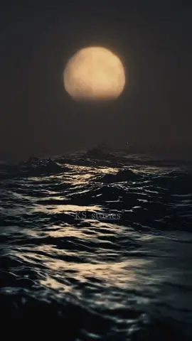 يا دنيا..💔😔#KS #حلات_واتس_2021 #foryou #foryoupage #explor #حزين #liek #fowllo #fypシ #حركة_اكسبلور_2021