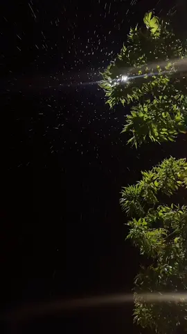 مطرالليل من ألطف مسرات الحياة ليلة شتاء ومطر تغسل روحك وقلبك وتنام موعود بخير مترقب من رب رحيم.؛(