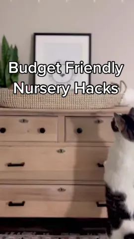Let me know if you have any good ones⬇️ #nursery #budgetfriendly #diyprojects #fyp