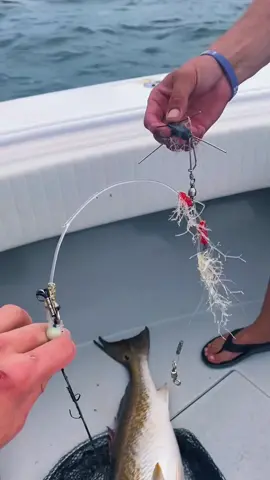 LUCKIEST Catch Ever!? 🤯 #Foryou #foryoupage #SharkyTV @MonstaApparelCompany