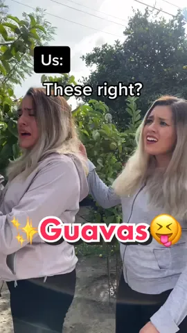 Who likes Guava?😝 Follow us on IG MARIA.XCIV // LAURA.XCIV ✨ #LatinxCreatives #guavajuice #guava #nowastefood #comedyskits