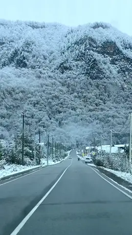 Первый снег в Адыгее. 25.10.2021 #адыгея #хамышки #покажикавказ #покажироссию #горыкавказа #кукарта