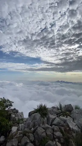 Monterrey 🤩 #parati #foryou #tiktokhalloween #monterrey #nuevoleon #mexico #thisismexico #mexicocheck #hikingmty #viral #top #world #eco