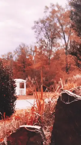 Reverse Ted Bundy #fy #fyp #foryou #foryoupage #tiktok #trend #viral #explore #halloween #scary #creepy #october #fall #orange #black #autumn #bodybag