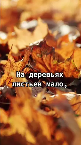 #сдобрымутром #доброеутро #пожеланиядрузьям #пожеланиясдобрымутром #хорошегодня