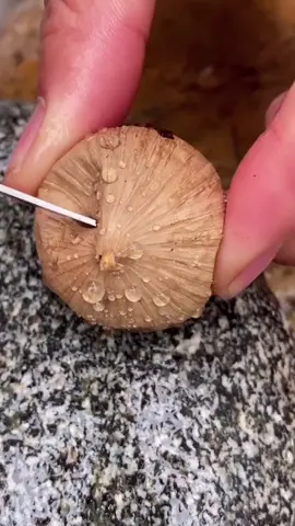 Black garlic #tiktokfood #foryou