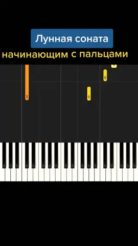 Ссылка на Ютуб-канал в профиле #луннаясонатабетховен #луннаясоната #напианино #урокифортепиано #рекомендациитикток