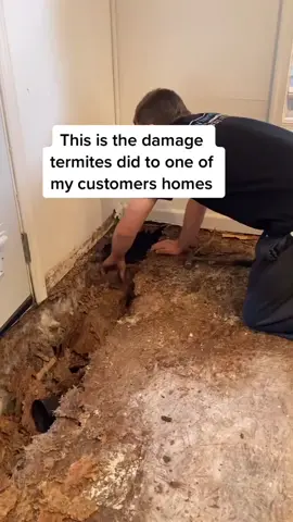 #businessowner #handyman #homeimprovement #subfloor #plywood #wood #work #bluecollar #entrepreneur #carpentry #money #lifechangers