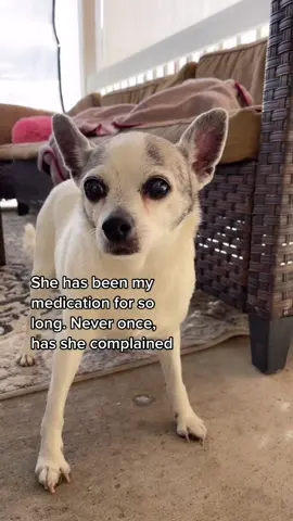 I dread the day she leaves #petsagainstabuse