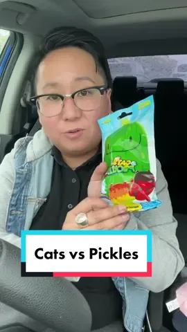 Meet the newest crew member! #fyp #sadbutradclub #lgbtqtiktok #strangerontheinternet #catsvspickles #innerchildhealing