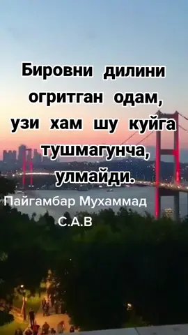 #мусульманка