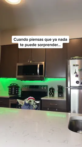 Esponjitas pequeñas para manitos pequeñas … 🥺❤️👏🏻 @Vanesa Amaro ♥️ @scrubdaddy ✨ Link en mi bio ! #babyyoda #scrubdaddypartner #limpienza #fyp