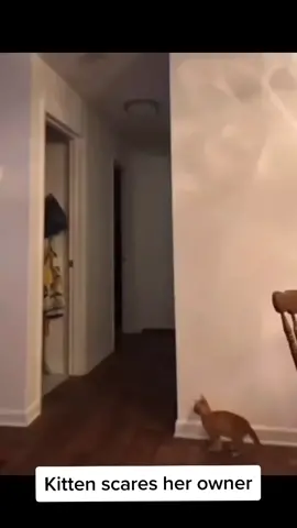 So adorable #fypfypfypfypfypfypfypfypfypfypfyp #fyp #wholesome