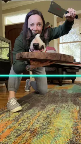 #stitch with @pawlie_the_bully I’ll show you a spooky,scary Skeleton 🥲 #fyp#viral#knox#dogs