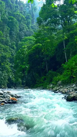 Nature live wallpapers for your iPhone 🏞 Link in bio👆#lockscreenwallpaper #livewallpaper #fyp