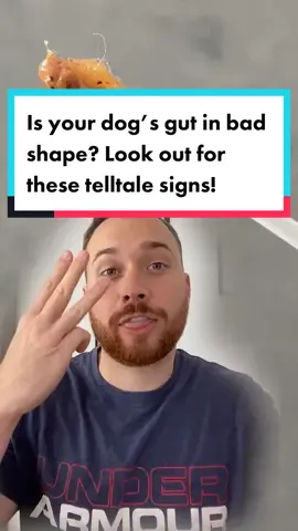 Dog parents, watch out for these! 🚨#doghealthtips #dogtips #dogadvice #petlabco