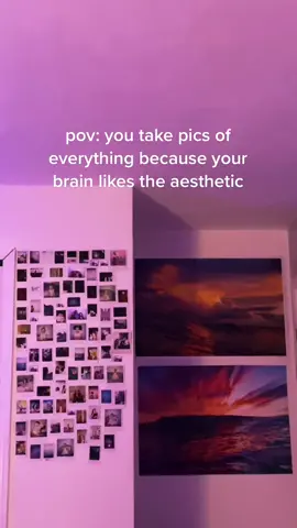 #greenscreen so much beauty in everything <3 #aesthetic #pictures #fyp