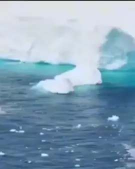 #vitekkrab #белка #ледниковыйпериуд