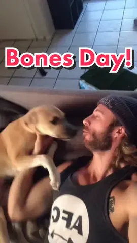 @jongraz Tell Noodles Freya Loves A Good Bones Day!  #bonesday #nobonesday #bonesdaybestday #noodlesthepug #noodles #itsabonesday