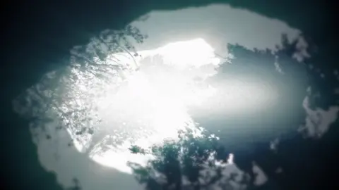 season - Rival x Cadium #ezasza #cadium #fyp #rival #foryoupage