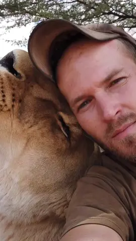 Time flies - Sirga grew from a tiny, helpless cub to a 400lbs lioness 👣🐾 (and I lost my hair…)