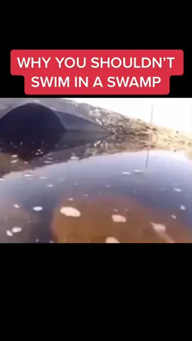 #scary #halloween #horrortok #fyp #creepy #gross