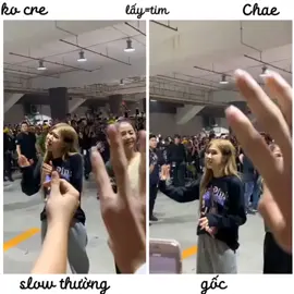 #fact Cậu đang tìm người share video này? #Chae_🧺✨ #py🐰 #xuhuong #Rosé #slow #share #fyp