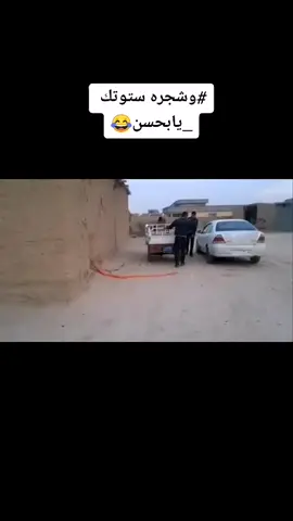 #وشجره #ستوتك #يابحسن#مشاهير_عرب  #مشاهير_تيك_توك #اضحك_من_قلبك #ونسه_همك