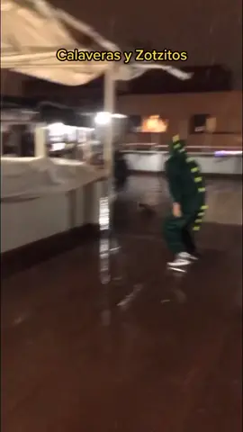 Calaveras y Zotzitos #santafe #halloween #diademuertos #skateplaces #fyp #vans
