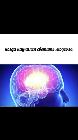 #СберегиПланету #лола #саратовскаяобласть #клубнислоники #мемы #brawlstars
